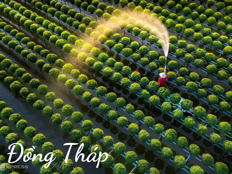 ĐỒNG THÁP ĐỒNG THÁP