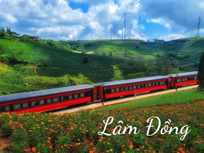 LÂM ĐỒNG LÂM ĐỒNG