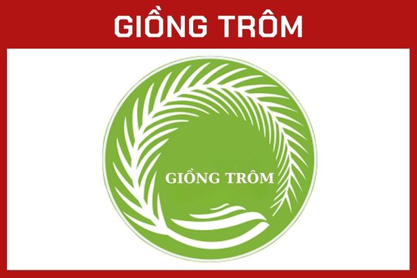GIỒNG TRÔM GIỒNG TRÔM