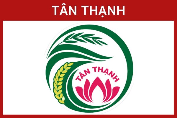 TÂN THẠNH TÂN THẠNH